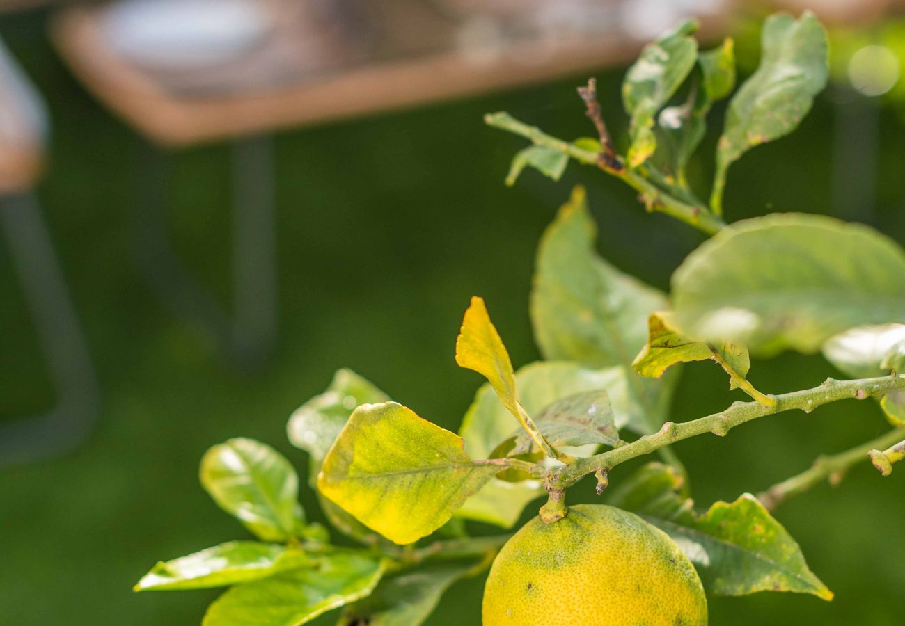 Apartamento em Albufeira - Lemon House - 500m da Praia