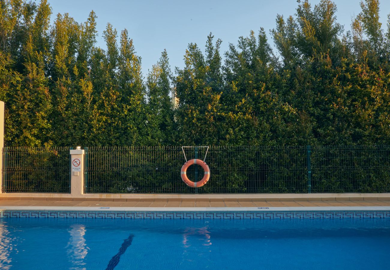 Villa em Sesmarias - Villa Monte das Oliveiras