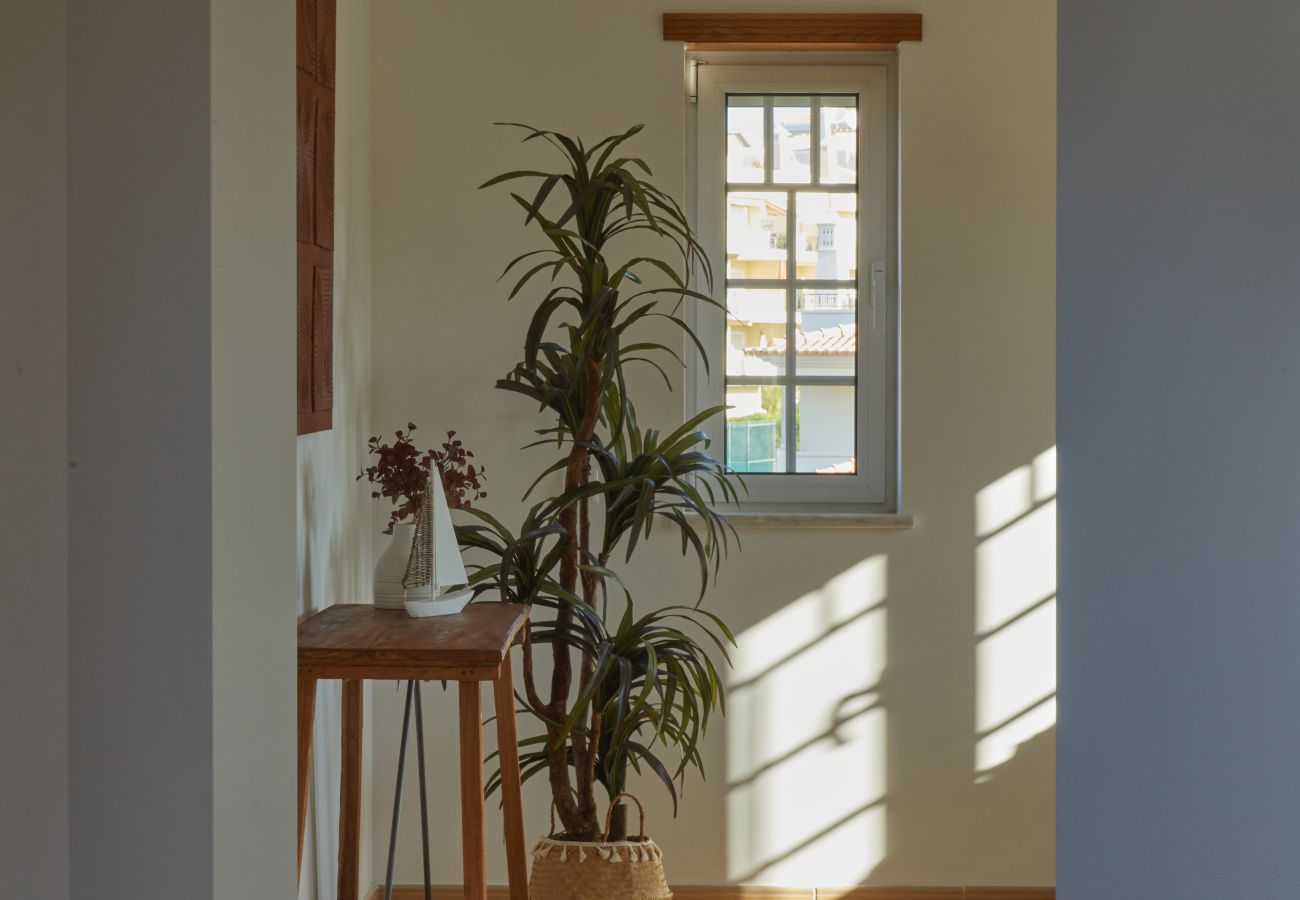 Villa em Sesmarias - Villa Monte das Oliveiras