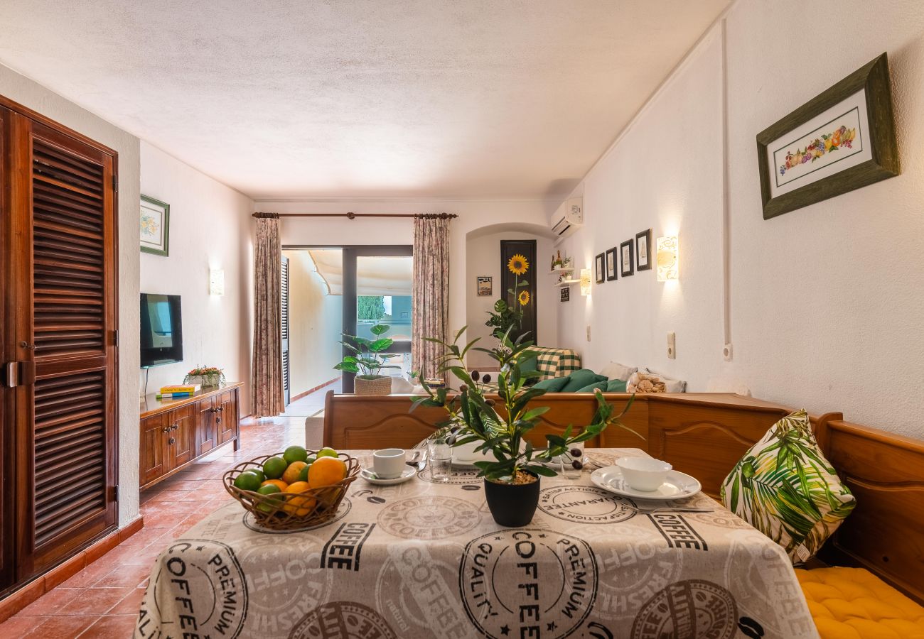 Apartment in Albufeira - Sun Deck Studio Albufeira Jardim