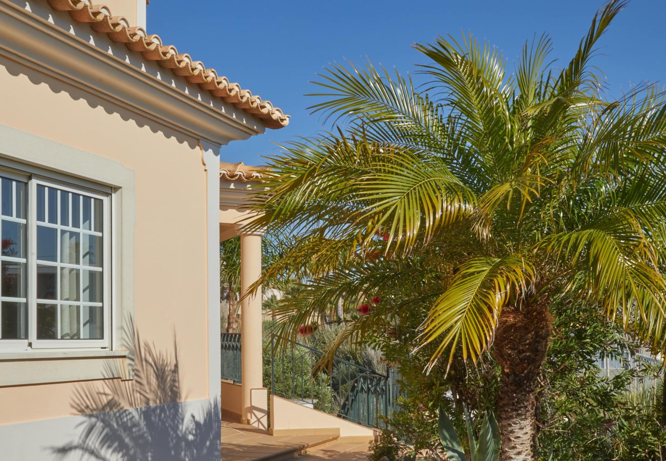 Villa in Sesmarias - Villa Monte das Oliveiras