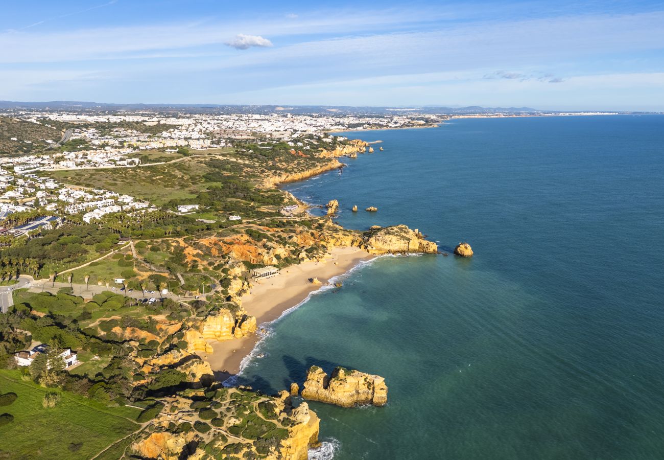 Villa in Sesmarias - Villa Monte das Oliveiras V3 São Rafael
