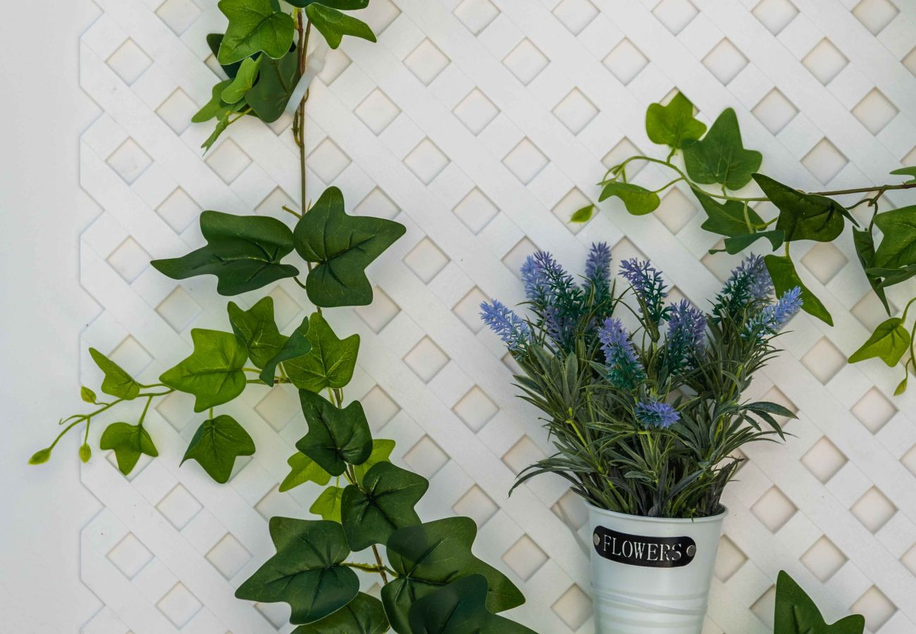 Apartment in Guia - Salgados 2 Bedroom Apartment